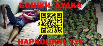 сатива Волгодонск