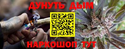 сатива Волжский