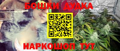 сатива Волжский