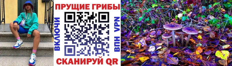 Галлюциногенные грибы прущие грибы  гидра как зайти  Тара 