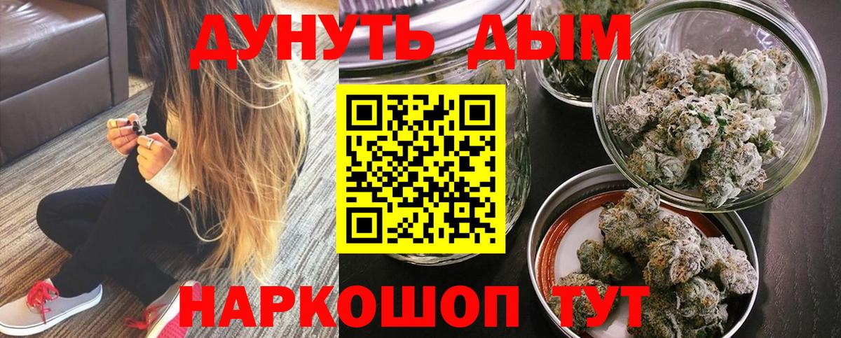 МАРИХУАНА ГИДРОПОН  Каннабис планчик  Каннабис индика  Тара  Конопля White Widow 